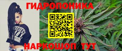 твердый Гусев