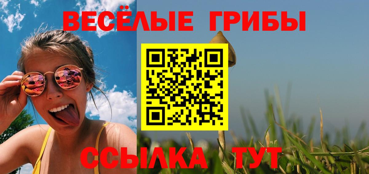 Новосибирск  Псилоцибиновые грибы Psilocybe  Вход с VPN 