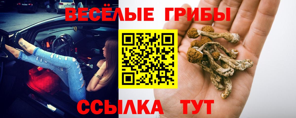 Галлюциногенные грибы прущие грибы Новосибирск